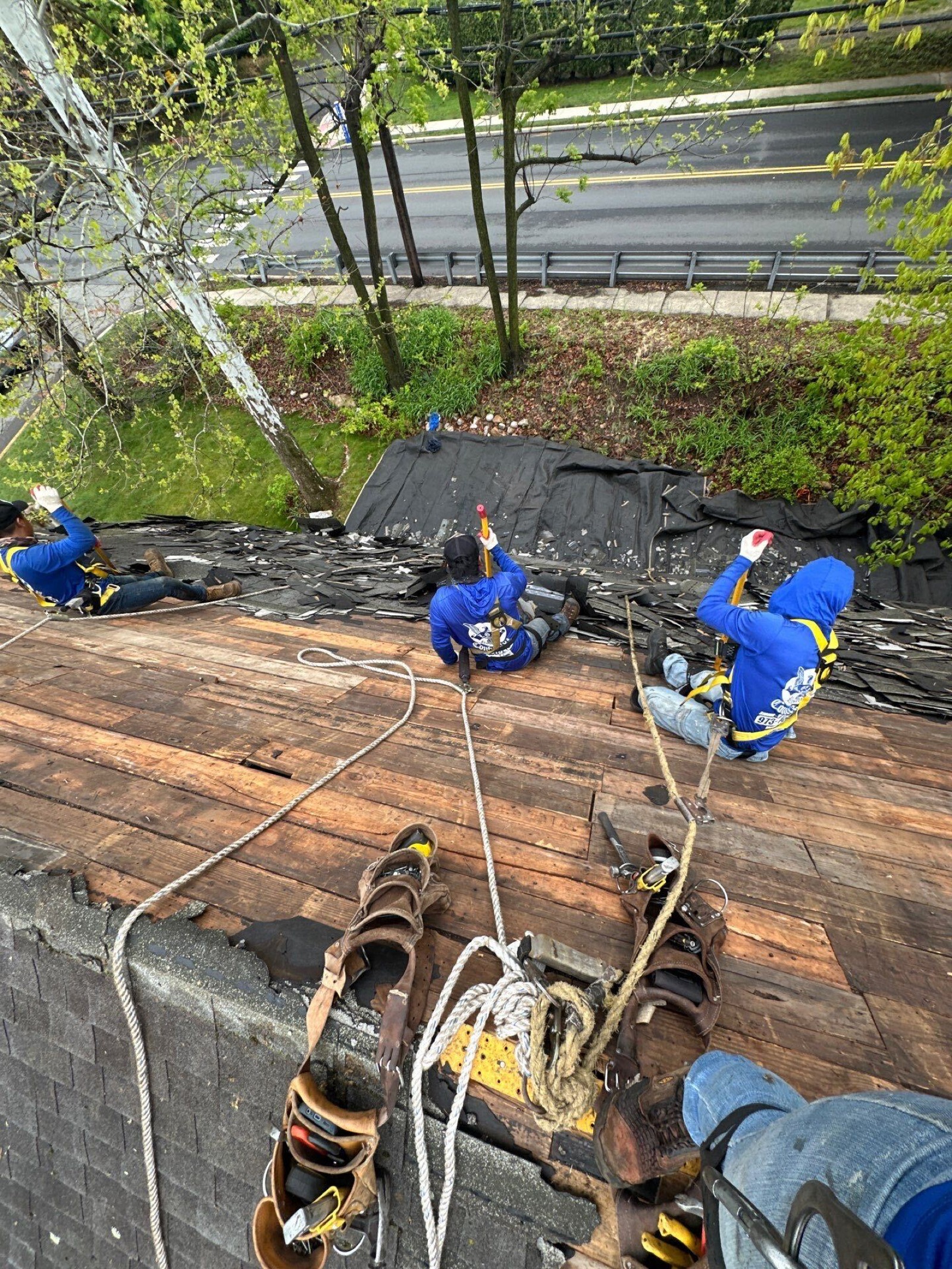 LGM Roofing crew members roped in and tearing off old shingles on a steep slope