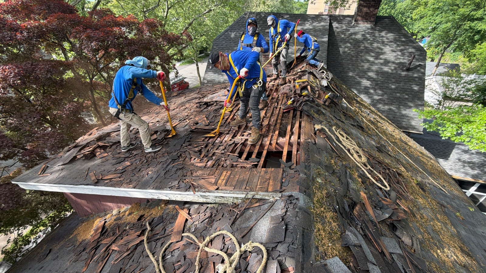 LGM crew in harnesses stripping old shingles along a steep ridgeline during a tear-off