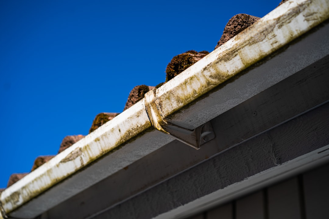 gutter maintenance tips for homeowners