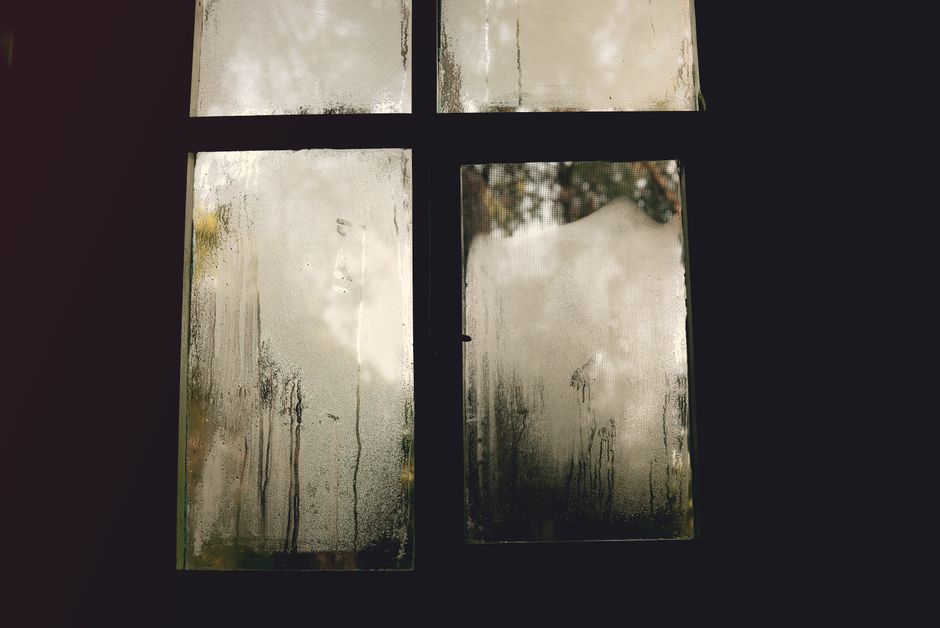 condensation between window panes
