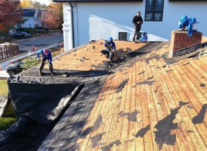 water damaged attic decking showing rot